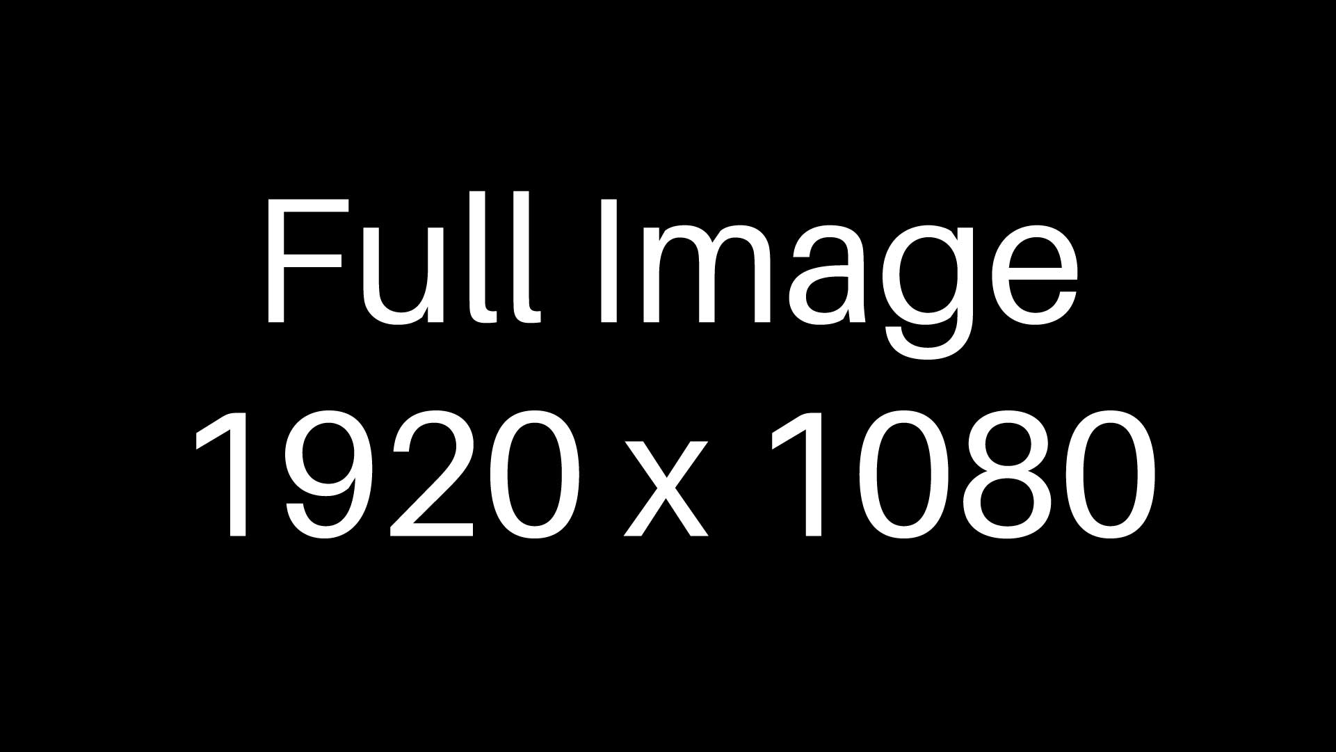 Full Article Image Alt Text Here